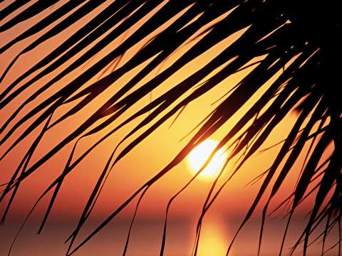 مناطق ساحلی خوزستان پاییز را با هوای گرم و شرجی شروع کردند