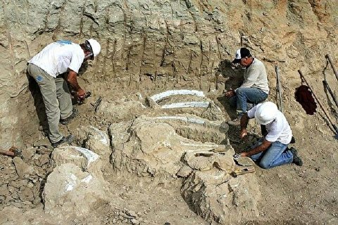 از سرگیری کاوش‌های بندرگاه اشکانی پس از وقفه ۸ ساله