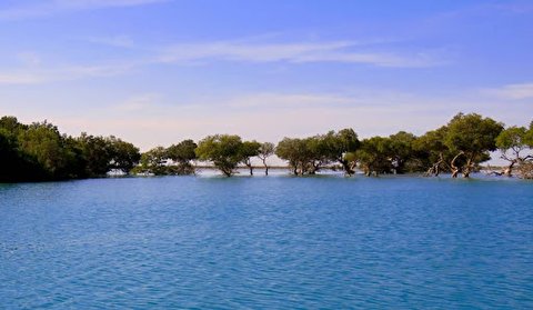 برگزاری کارگاه آموزش گردشگری در بندر خمیر