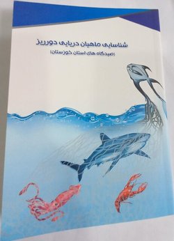 رونمایی از کتاب "شناسایی ماهیان دریایی دورریز در صیدگاه‌های خوزستان"