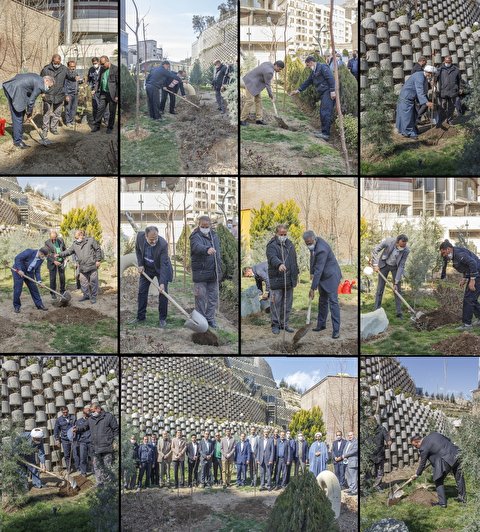 برگزاری مراسم گرامیداشت روز درختکاری در مجموعه شیان كشتيراني جمهوري اسلامي ايران