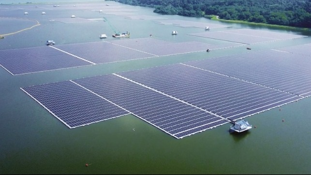 رونمایی از بزرگترین مزرعه انرژی خورشیدی در سنگاپور