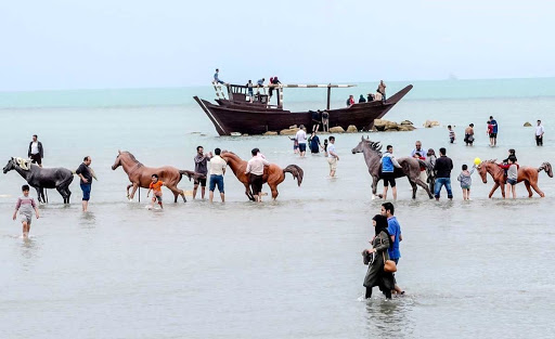 ایجاد پروژه بزرگ گردشگری دریایی در ساحل بندر بوشهر