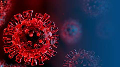 قرنطینه افراد مشکوک به کرونا در مرز‌های دریایی خوزستان