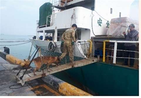 ۴۲ درصد کشفیات مواد مخدر استان بوشهر در مسیر دریا بوده است