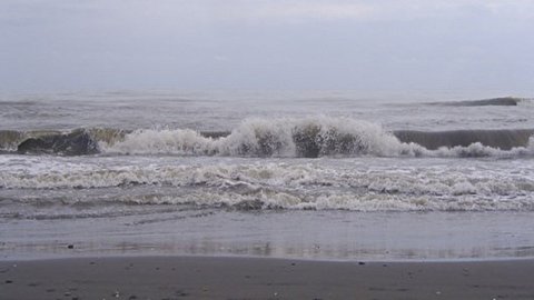 هواشناسی بوشهر درباره مواج شدن خلیج فارس هشدار داد