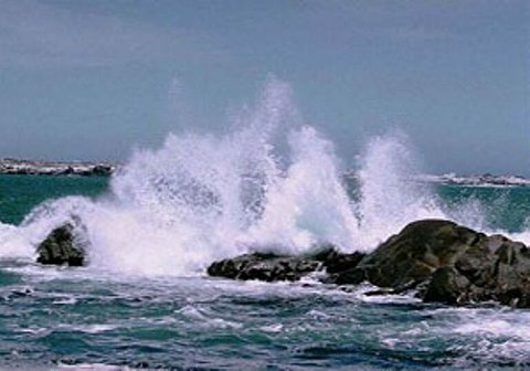 آب‌های شمال خلیج فارس تا چهارشنبه مواج و متلاطم است/شناور‌ها احتیاط کنند