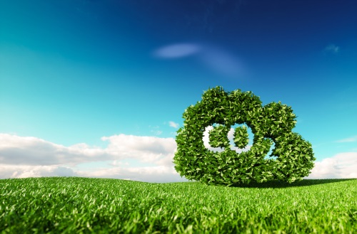درخواست IMO از کشور‌ها برای افزایش فعالیت کربن زدایی
