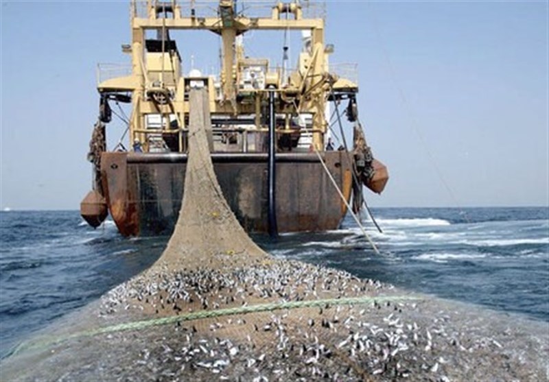 توقیف ۲۲۰ شناور صیادی متخلف در آب‌های شمالی خلیج فارس