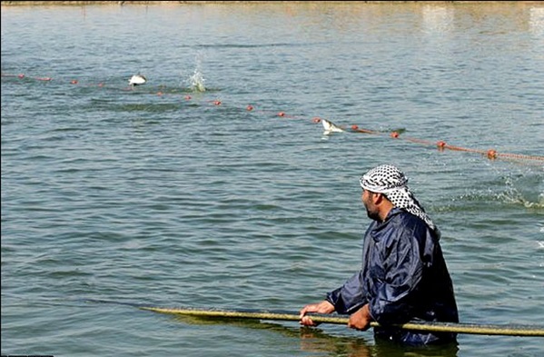 ممانعت از صید غیرقانونی در اروندرود و خور‌های ماهشهر