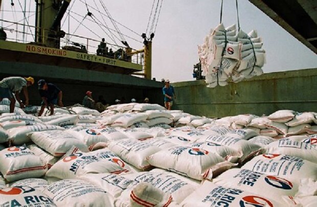 کشتی ۳۳.۵ هزار تنی برنج در بندر بوشهر پهلو گرفت