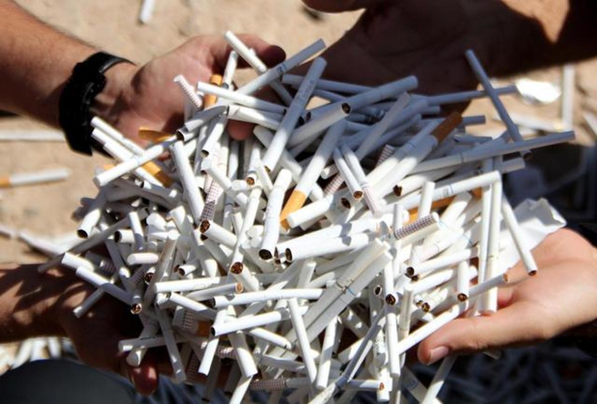 بیش از ۲۵ هزار نخ سیگار در سواحل استان بوشهر کشف شد