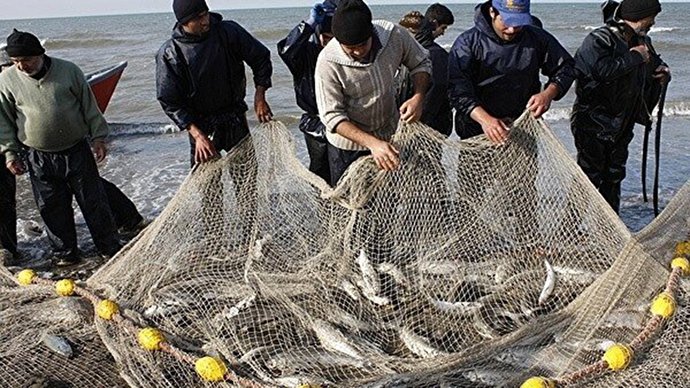 صید بیش از ۱۰۴ تُن ماهی استخوانی از دریای خزر