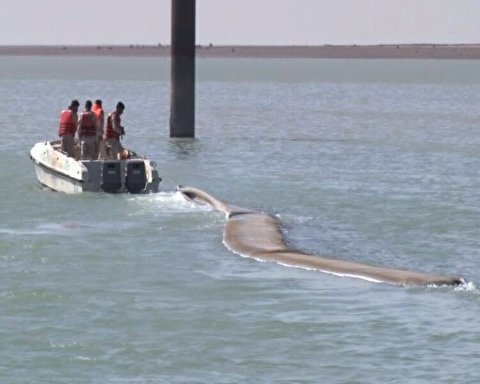 توقیف محموله سوخت قاچاق در آب‌های ساحلی شمال غرب خلیج فارس