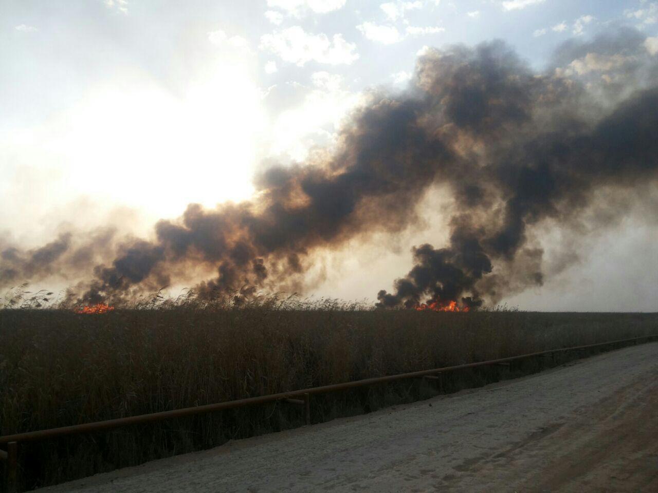 تداوم آتش سوزی در بخش عراقی تالاب هورالعظیم