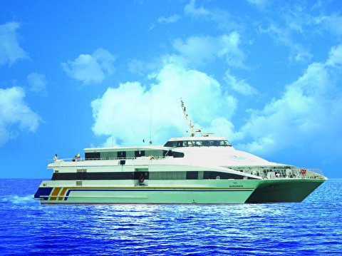 محل شهادت مسافران پرواز ۶۵۵ ایران ایر گلباران شد