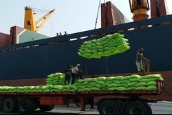 ثبت رکورد تخلیه روزانه ۴ هزار تن برنج از کشتی در بندر بوشهر