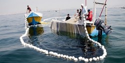 آزاد‌سازی صید ماهی حلواسفید در خوزستان و بوشهر