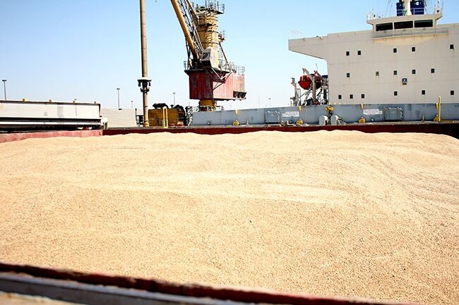 واردات ۲۷۰ هزار تن گندم به کشور از بندر امام خمینی