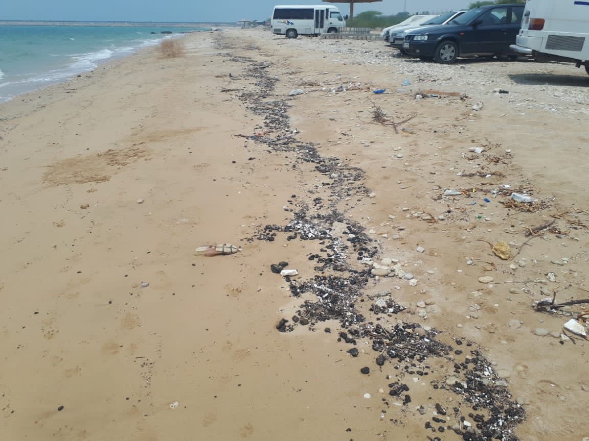 آغاز پاکسازی لکه‌های نفتی در ساحل خلیج فارس شهرستان کنگان