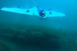 رباتی که زیر آب دنبال گنج می‌گردد!