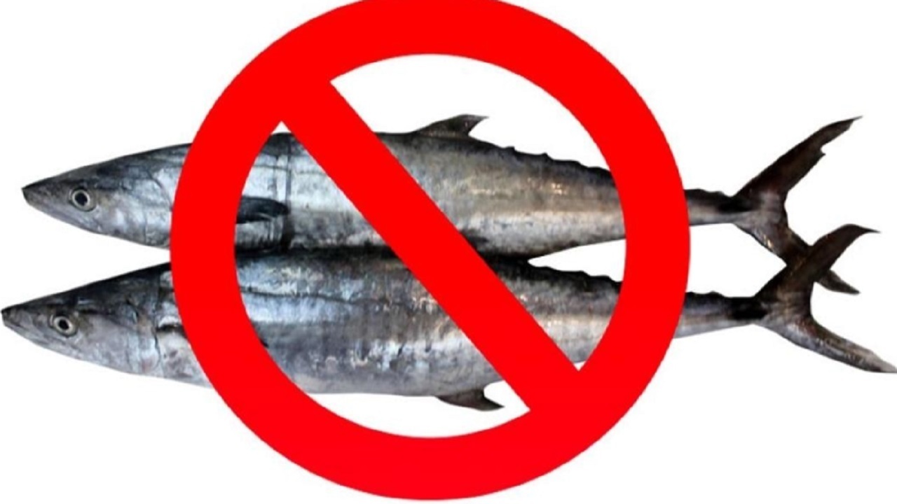 صید ماهی شیر در خلیج فارس و دریای عمان ممنوع شد