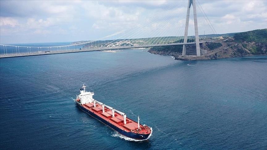 ترکیه: ۱۱۳ کشتی حامل غلات اوکراین در انتظار بازرسی هستند