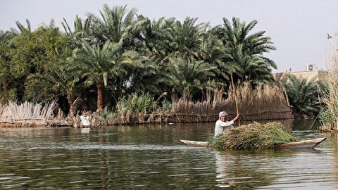 بازدید ۱۲۰ هزار گردشگر از تالاب بین المللی شادگان/ به‌کارگیری ۱۰۰ فروند قایق گردشگری