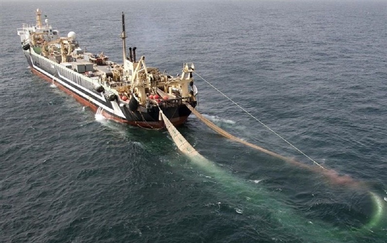 فعالیت ۳۵۰۴ قایق صیادی غیرمجاز در آب‌های شمال غرب خلیج فارس