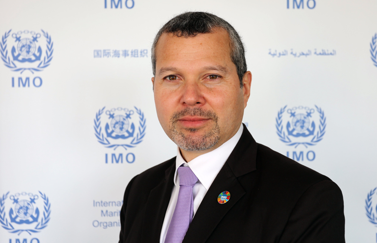 فراخوان دبیر کل جدید IMO برای همکاری کشور‌ها جهت کاهش تنش در دریای سرخ
