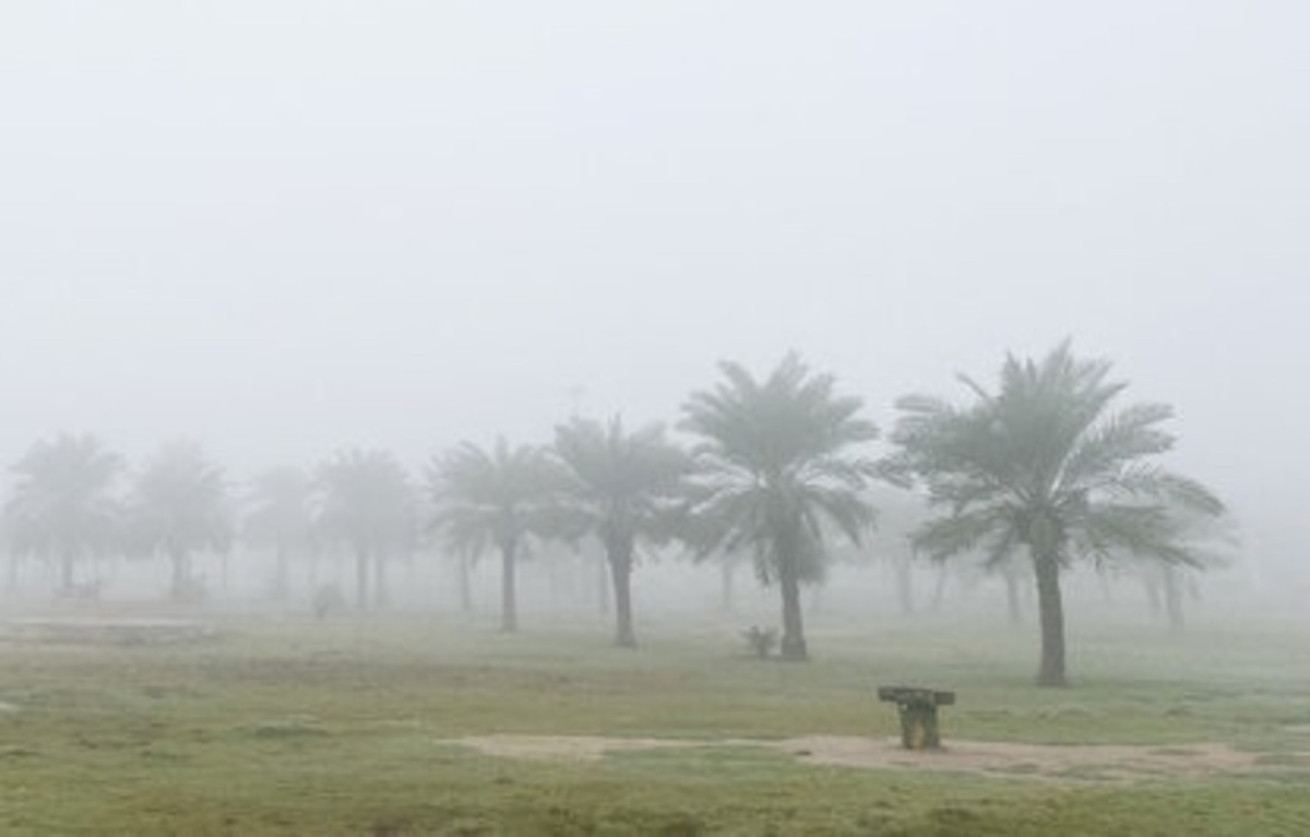 مه رقیق صبحگاهی و شامگاهی تا سه روز آینده در مناطق ساحلی خوزستان