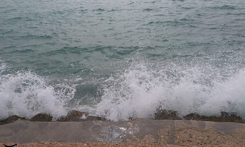 سواحل خلیج فارس در نوار ساحلی استان بوشهر متلاطم شد