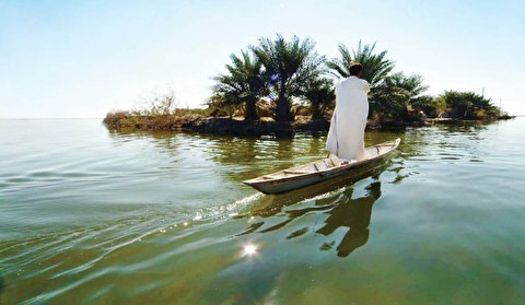 رئیس جمهور خواستار تدون سند توسعه تالاب شادگان تا یک ماه آینده شد