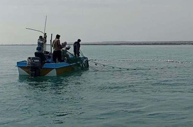 برخورد قاطع با متخلفان صید ساردین ماهیان در استان بوشهر