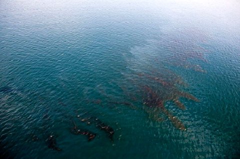 مذاکرات بین‌المللی محیط زیست با راپمی جهت کاهش آلودگی‌های خلیج فارس