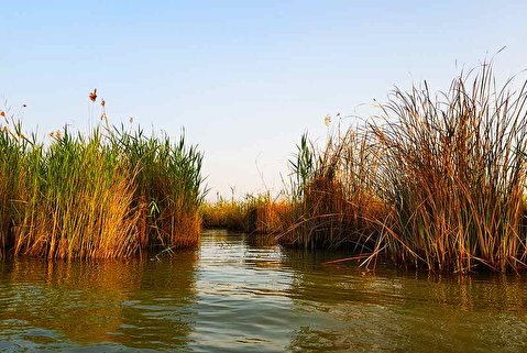 طرح جامع تالاب شادگان به رئیس‌جمهوری ارائه شد