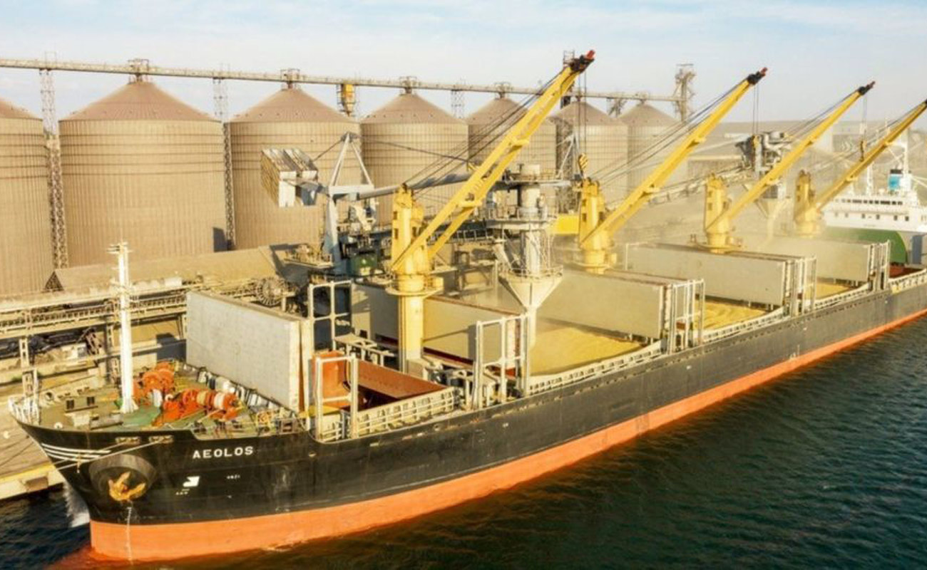 پهلوگیری ۱۰ فروند کشتی گندم در بندر امام خمینی در بهار امسال