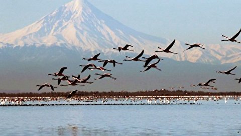 نیاز آبی محیط زیستی میانکاله و خلیج گرگان بازنگری شد/ تکمیل سامانه جامع تالاب‌های کشور