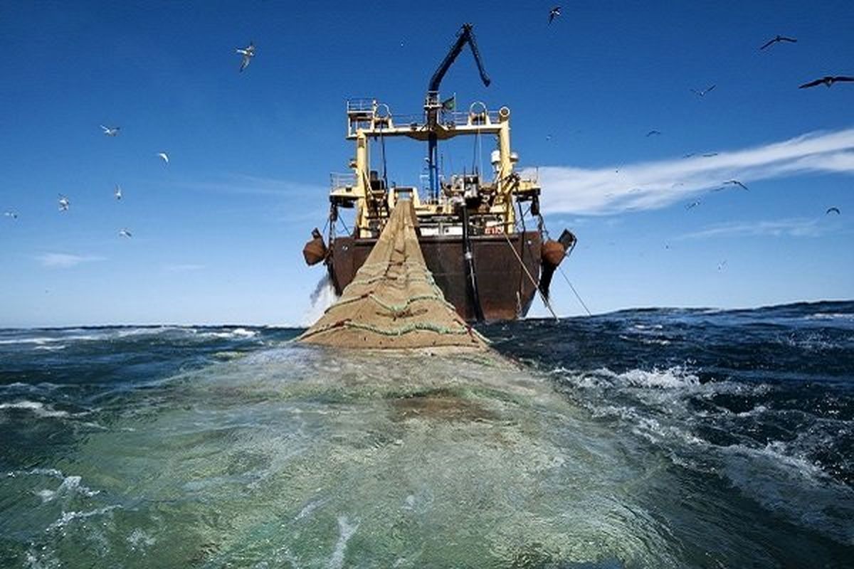 کشف ۷۵۶ کیلوگرم صید آبزیان دریایی غیرمجاز در بوشهر
