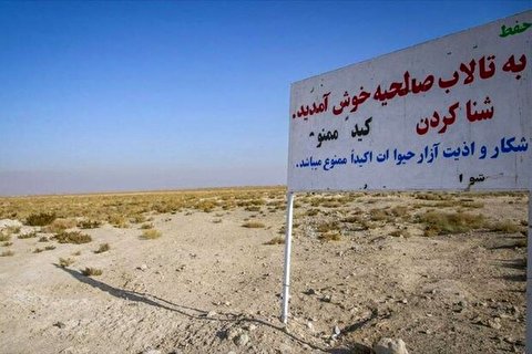 تداوم تخریب زیستگاه‌های ساحلی با خشک کردن دریا‌ها