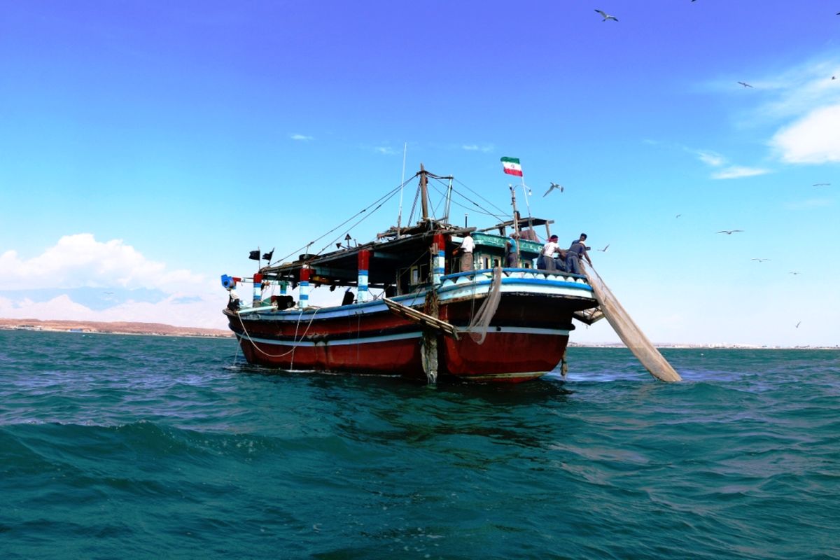 صید میگوی دریایی خلیج فارس امروز آغاز شد/ فعالیت بیش از ۱۰۰۰ فروند شناور صیادی میگو