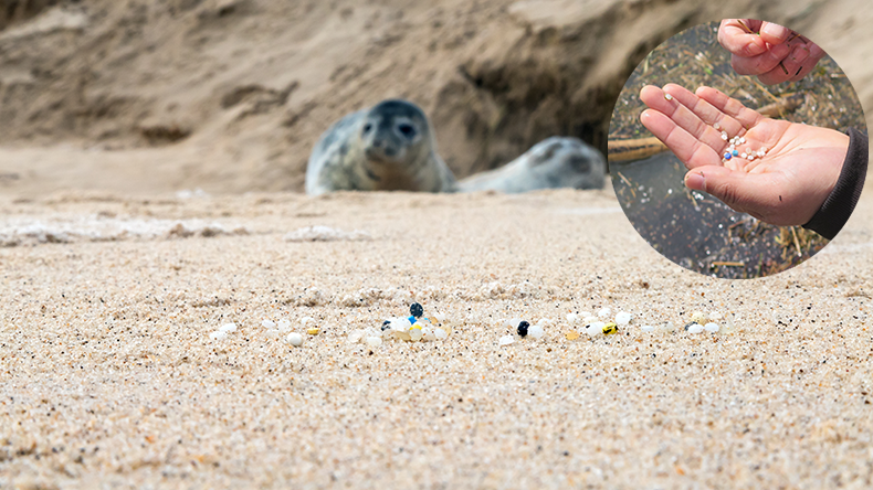 تهدید محیط زیست دریا با ورود میلیاردها گلوله‌ پلاستیکی