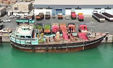 فیلم/ رونق بازار شناورهای سنتی بندرلنگه در فصل صادرات میوه و تره‌بار