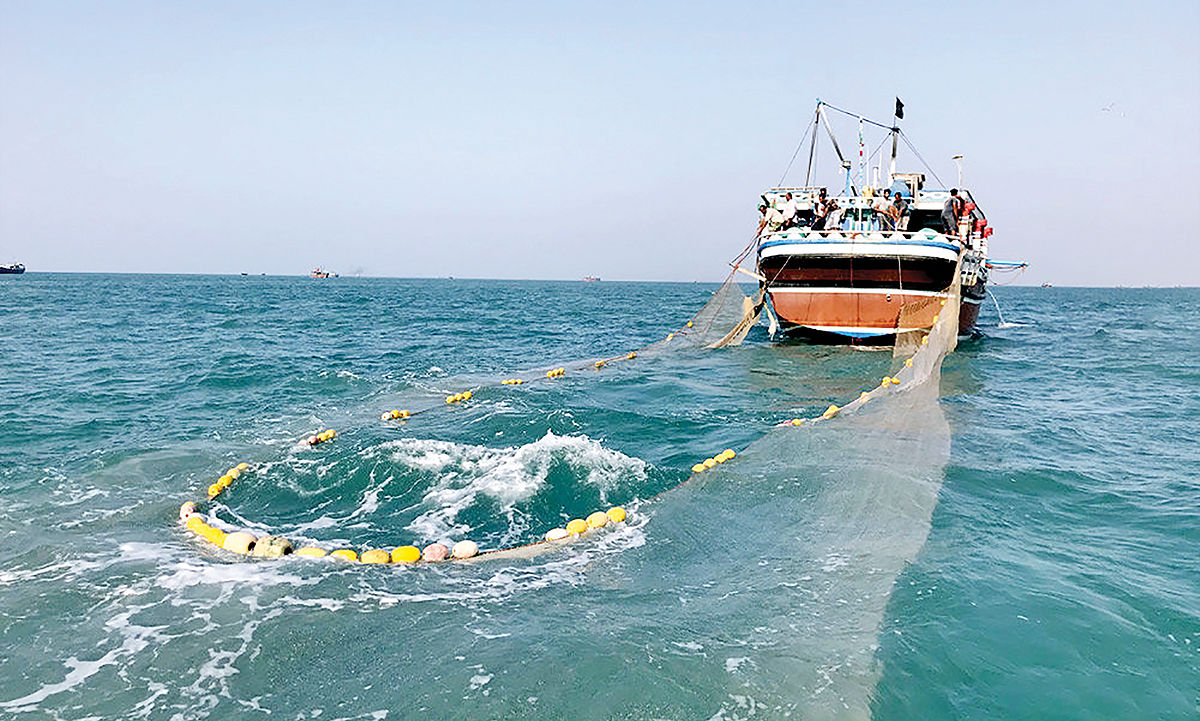 توقیف شناور صید غیرمجاز ترال در نوار ساحلی خلیج‌فارس بندر گناوه