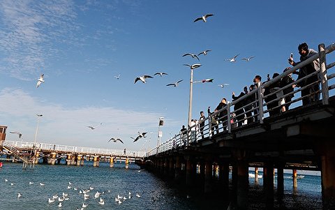صدور ۱۴ موافقت اصولی احداث اسکله تفریحی در مازندران