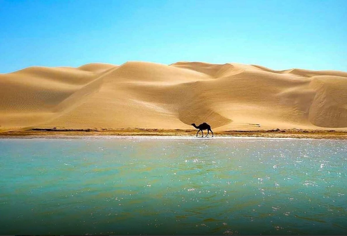 سرمایه گذاری ۵۸ هزار میلیارد ریالی در توریسم دریایی کنارک