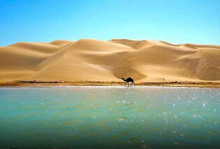 سرمایه‌گذاری ۵۸ هزار میلیارد ریالی برای ارتقای توریسم دریایی در کنارک