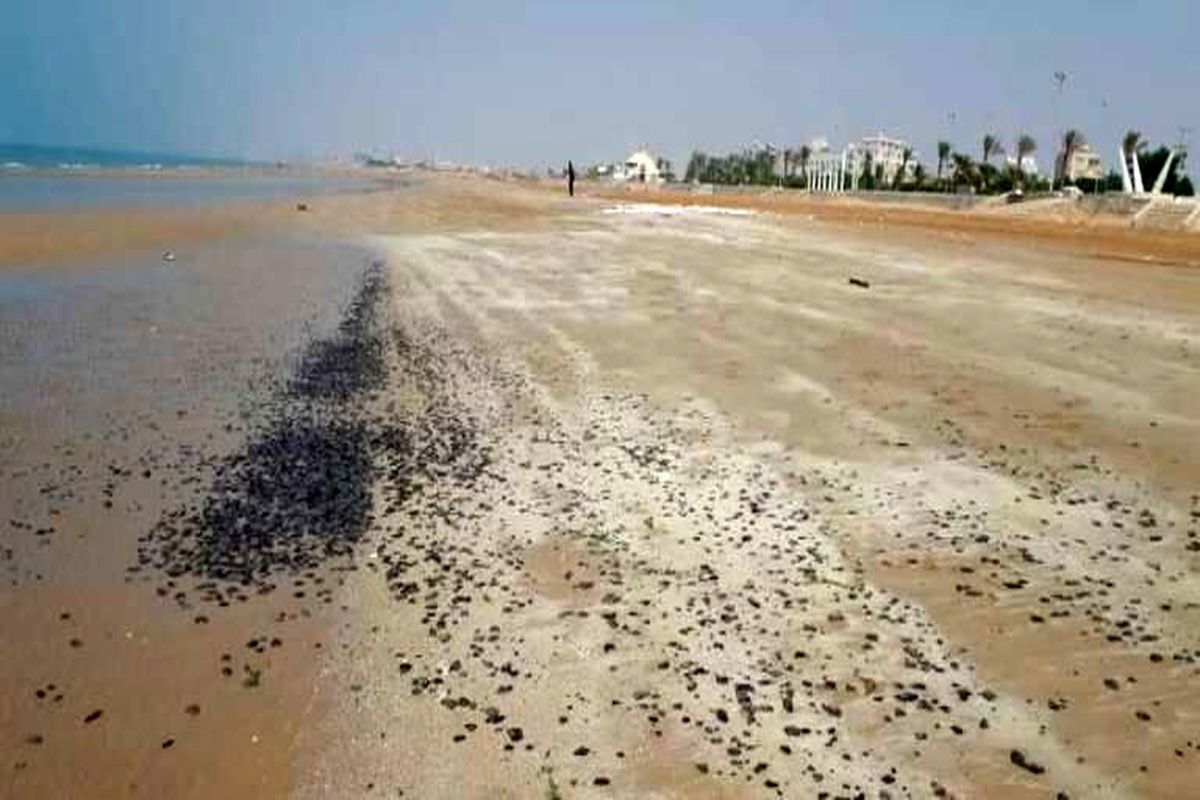 ساحل بندر بوشهر از لکه‌های نفتی پاکسازی شد
