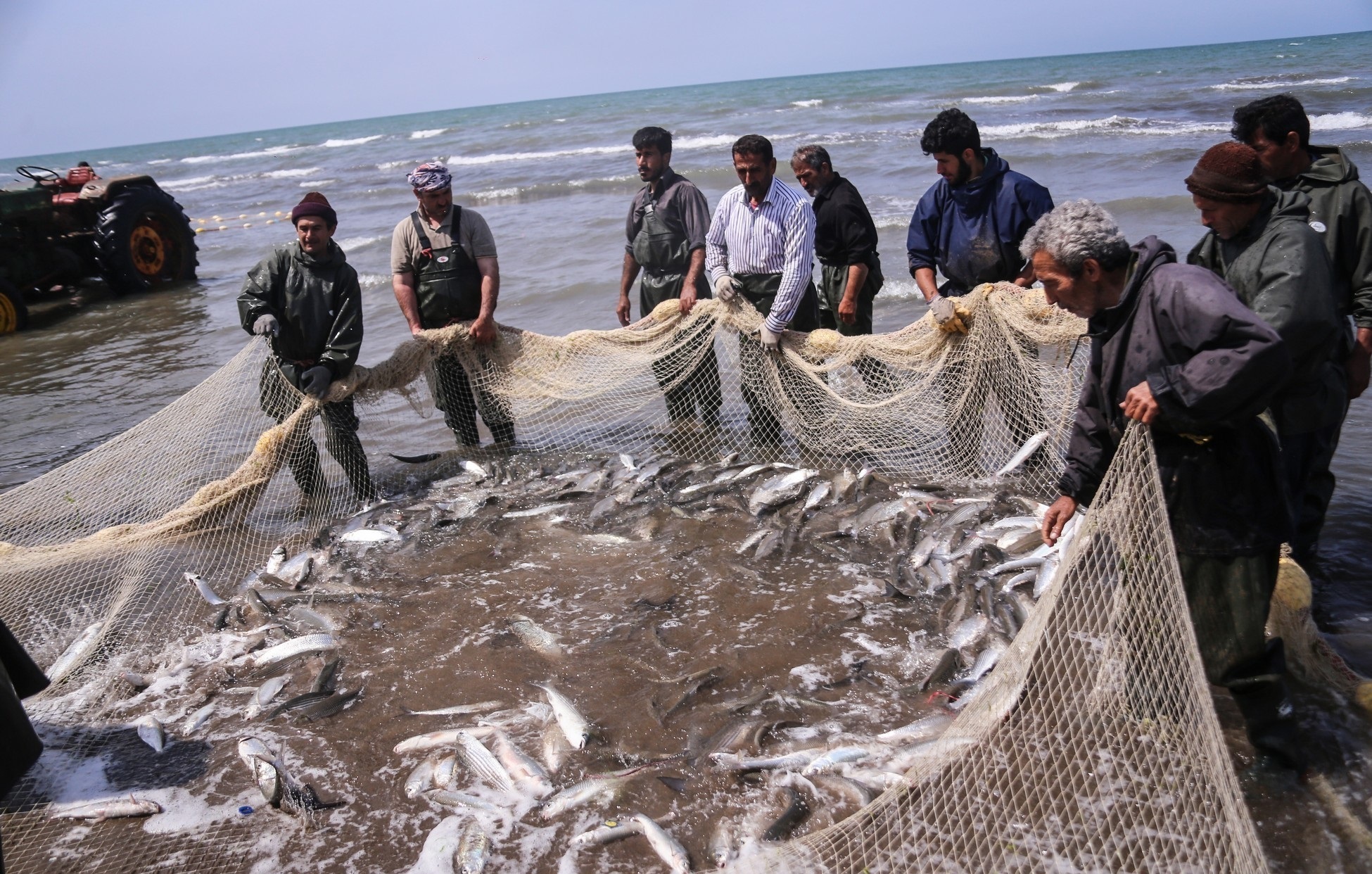 صید ماهیان استخوانی دریای خزر در غرب گیلان آغاز شد