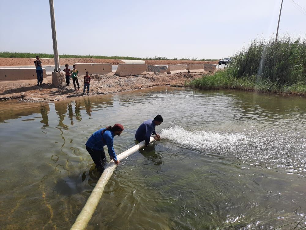 رهاسازی ۳۵۲ هزار بچه ماهی در تالاب بین المللی شادگان